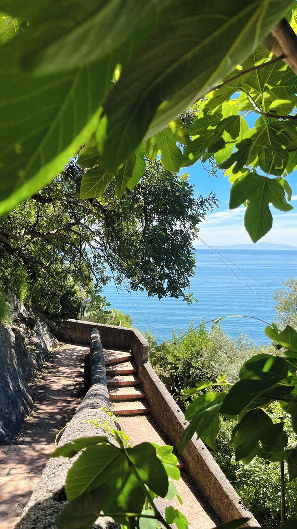 Property grounds - 10 meters from the sea Cozy apartment with terrace Amalfi Coast (Campania)