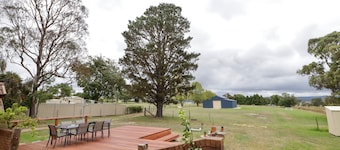 Wild Honey Tenterfield