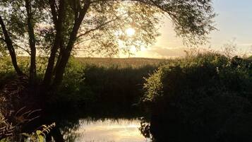 Un fiume tranquillo con alberi che riflettono la luce del sole.