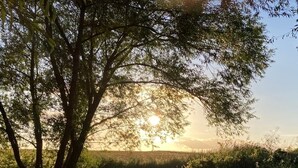 A calm river with trees reflecting the sunlight. - Rural Cabin in the Lincolnshire Countryside (Grantham)