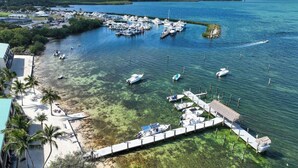 A marina with boats docked, a pier extending into the water, and a beach area with palm trees.
