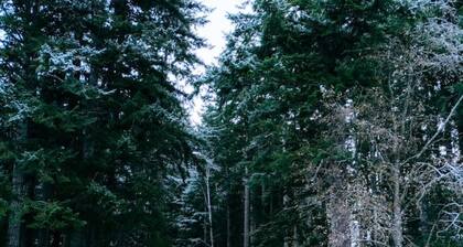 Reflection Haven: Lakeside, Hot Tub, By Park Entry