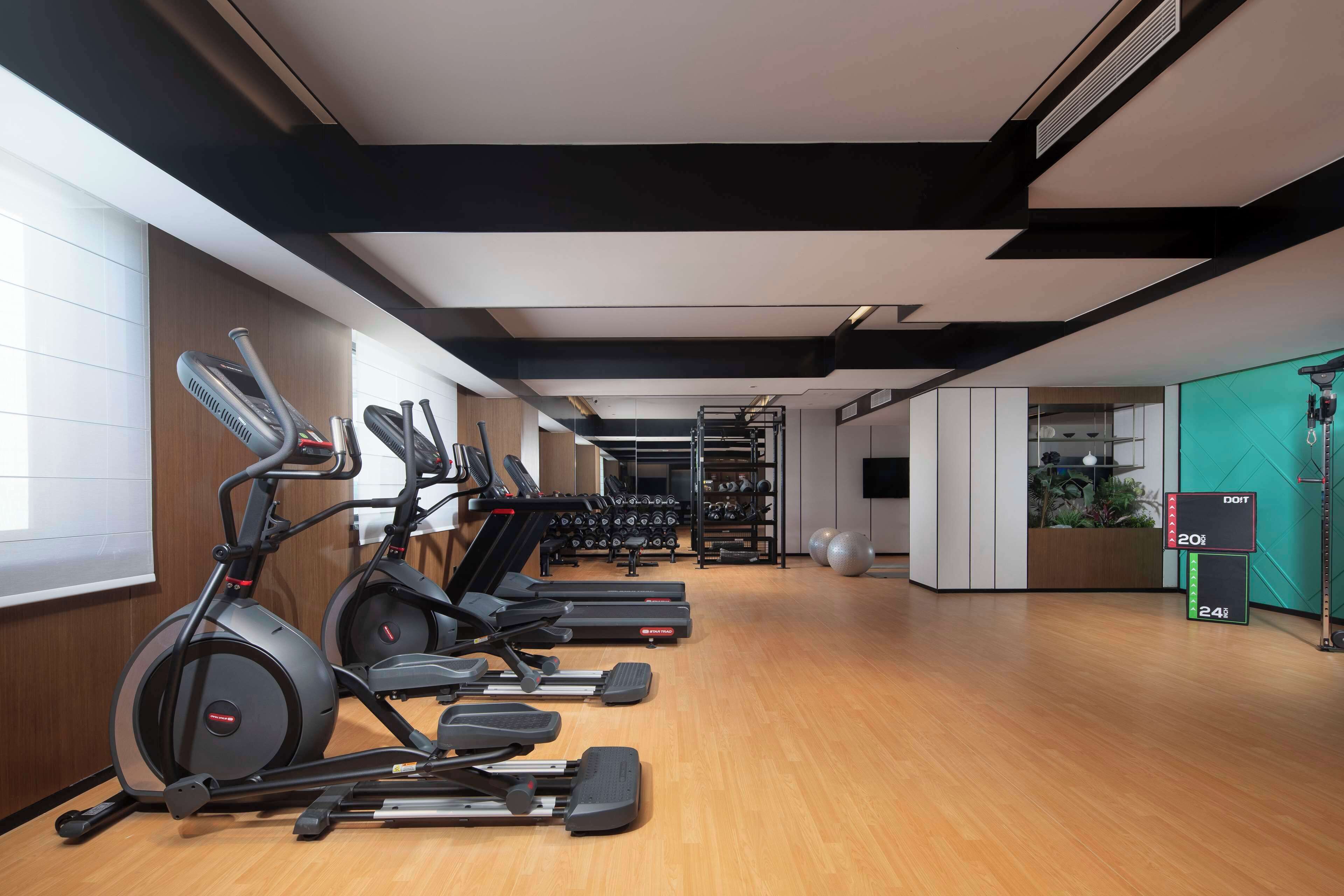 A gym with treadmills, ellipticals, and weight machines. There are dumbbells and exercise balls.
