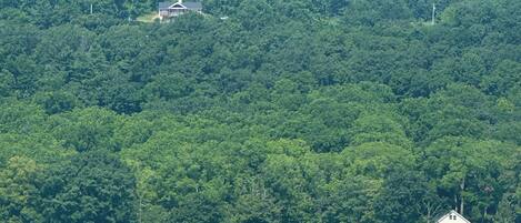 A coastal view with a forested hill, a small house, and a white building with a garage.