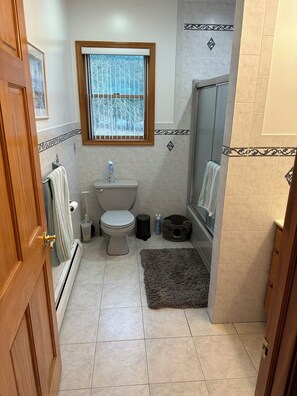 Hårføner, håndklær og såpe