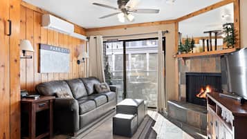 Smart TV, fireplace, books