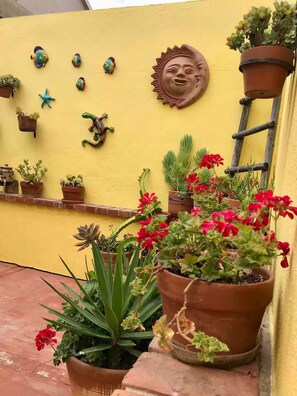 Vibrant decor adorns the wall, featuring a sun-shaped relief, fish figurines, and a colorful mosaic. Potted plants and flowers add a touch of greenery.