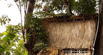 Cabañas El Bamboo