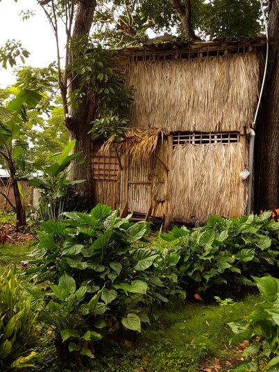 Cabañas El Bamboo