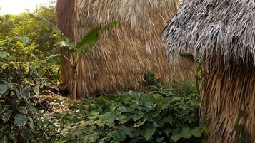 Uma cabana rústica com telhado de palha, rodeada por vegetação exuberante.