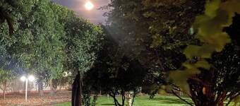 Secret Garden in Assis SP