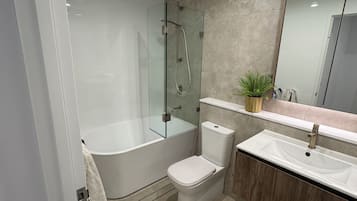 Ducha, secador de pelo, toallas, jabón