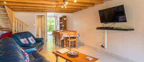 TV, DVD player, ping pong