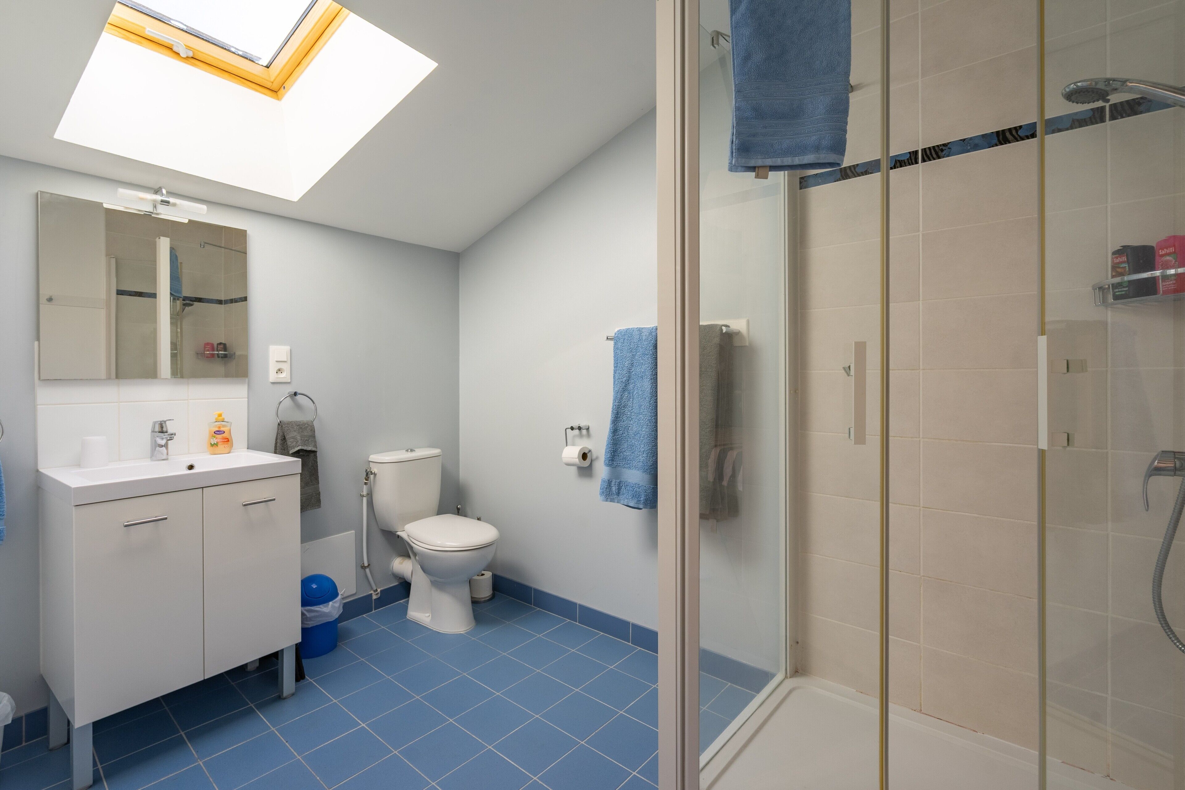 Et badeværelse med ovenlys, toilet, vask og bruseområde.