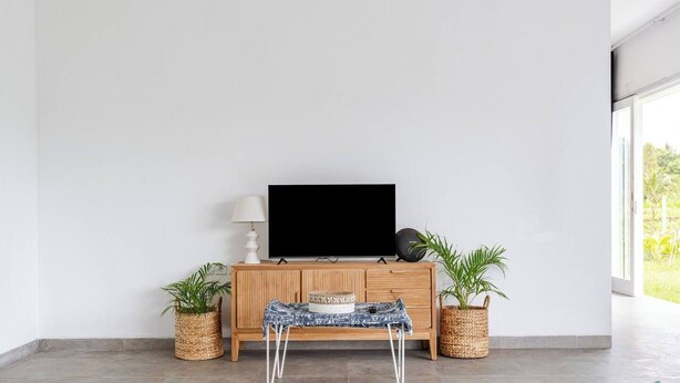 Un salon moderne avec un téléviseur à écran plat posé sur une console en bois, deux plantes en pot et un banc agrémenté d’un plaid à motifs.