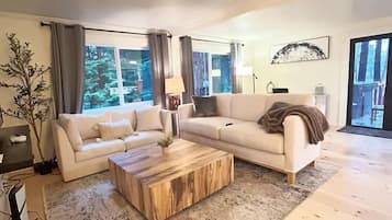 Smart TV, fireplace, video games, books