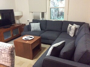 Smart TV, fireplace, DVD player, books