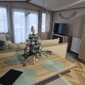 TV, fireplace