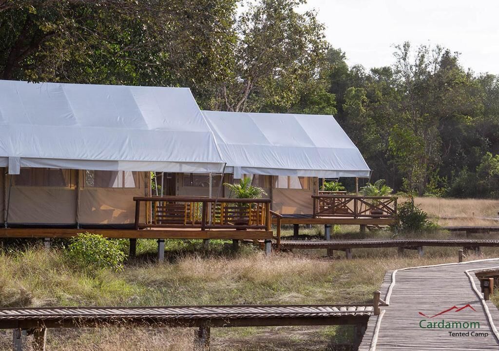 A Cardamom Tented Camp with two tents connected by a wooden deck, surrounded by natural vegetation.