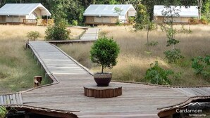 Al Campo de Carpas Cardamom, con pasarelas de madera y un árbol en maceta en el centro.
