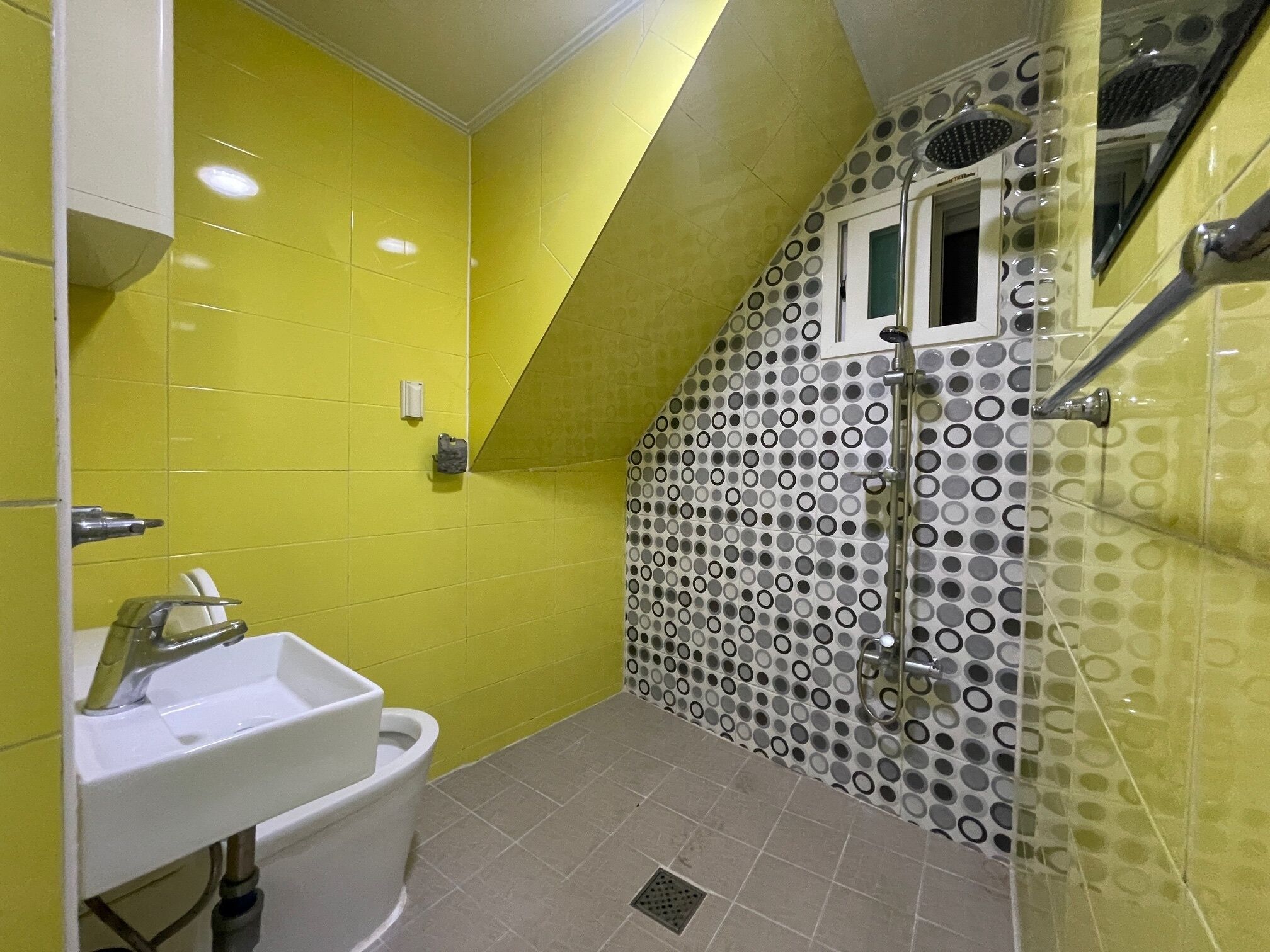 Hair dryer, soap, shampoo, toilet paper