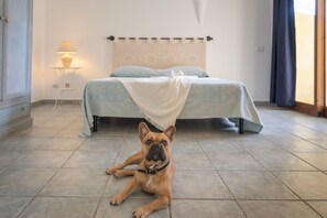 Tabla de planchar con plancha, internet y ropa de cama 
