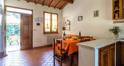 Authentic Farmhouse in Castiglion Fiorentino With Organic Wines