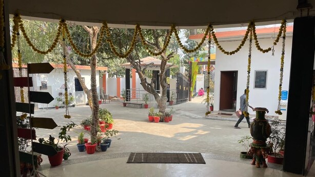 Un patio interior con plantas en macetas, un árbol central y una estatua.
