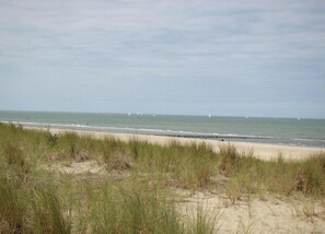 Comfort House, 3 Bedrooms | View from property - Classy Holiday Home in Zuidzande With Sauna (Zuidzande)