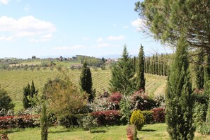 Deluxe House, 2 Bedrooms | View from property - Restful Farmhouse Near Forest in Vinci With Pool (Vinci)