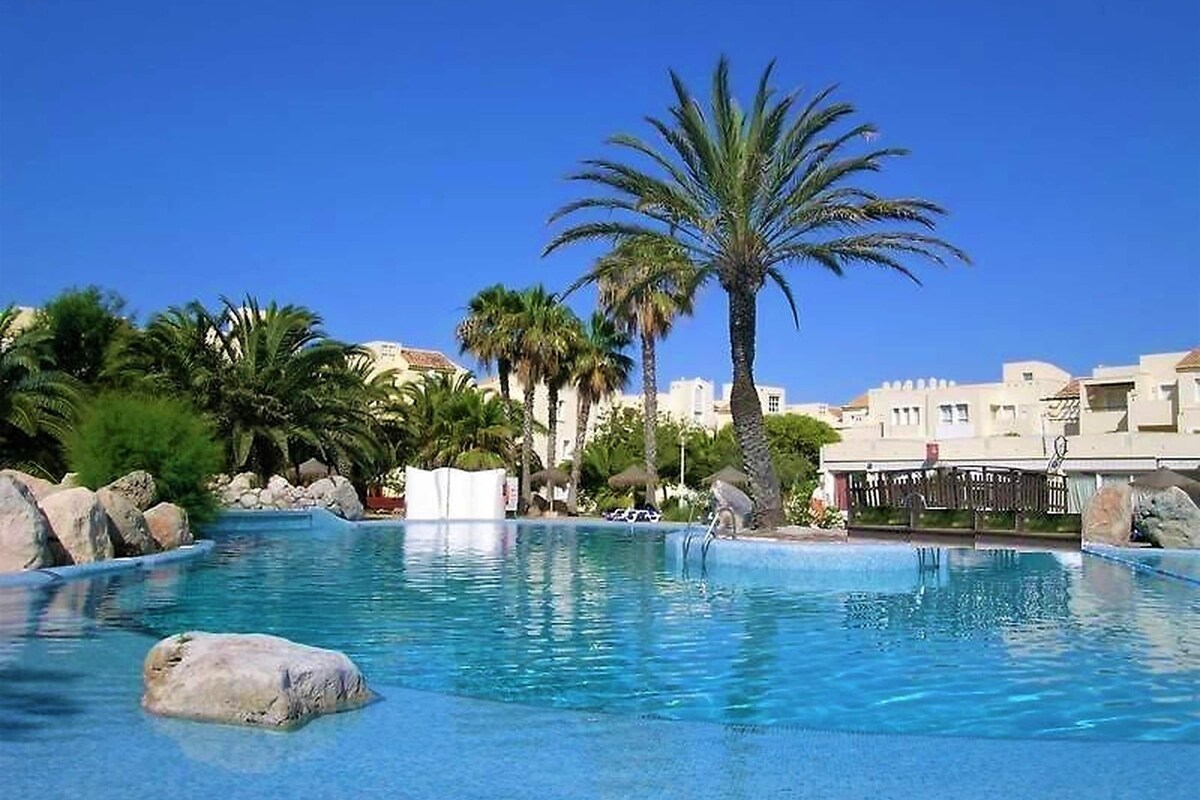 A clear blue pool with palm trees and rocks, surrounded by buildings.