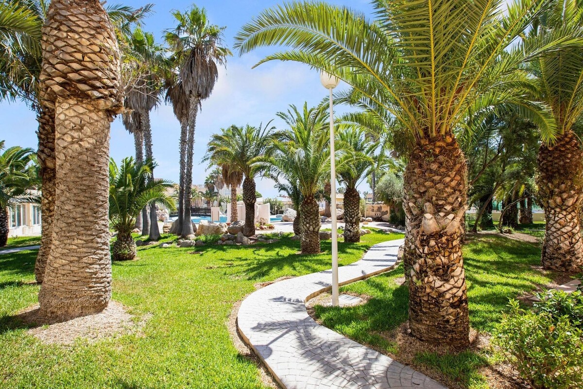 A pathway lined with palm trees and a paved walkway.