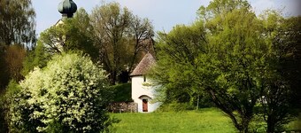 Studio Apartment 'Gästehaus Wolfgang Taubensee -3-' with Mountain View, balcony and Wi-Fi