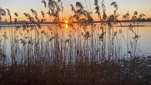 A sunset over a calm body of water with tall grasses in the foreground.