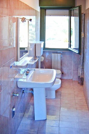 Classic-Apartment, 1 Schlafzimmer | Badezimmer | Dusche