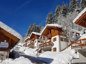 Exterior - Spacious Detached Chalet in Holiday Village (Wald im Pingzau)