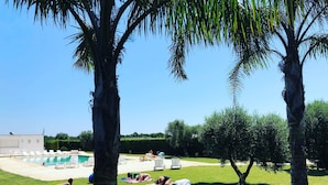 Ein Poolbereich mit Liegestühlen und einer Rasenfläche, umgeben von Palmen und Hecken.