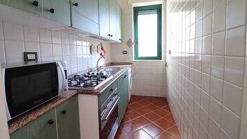 Fridge, stovetop, cookware/dishes/utensils