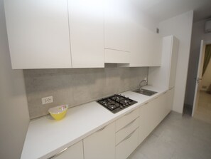 Kühlschrank, Herdplatte, Geschirrspüler, Kochgeschirr/Geschirr/Besteck