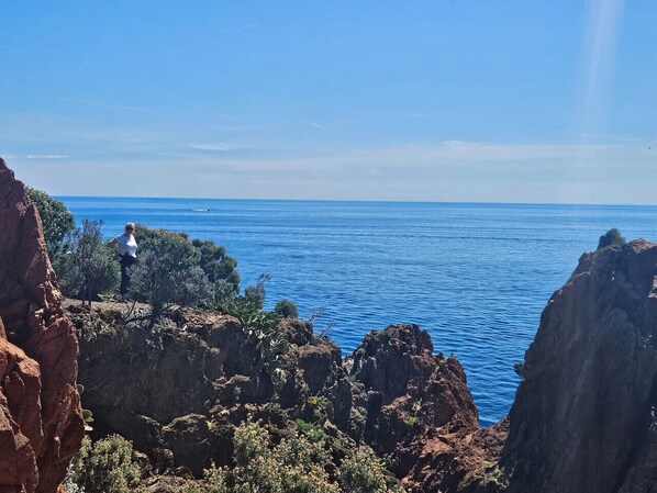 Immagine non classificata, 1 di 27, pulsante