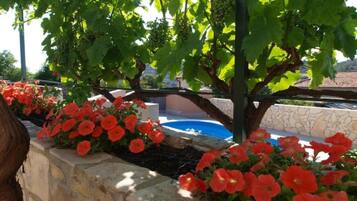 House (Holiday House) | Terrace/patio