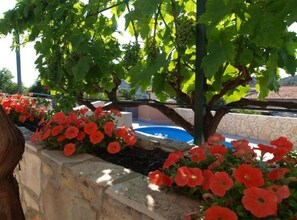 Maison (Holiday House) | Terrasse/Patio
