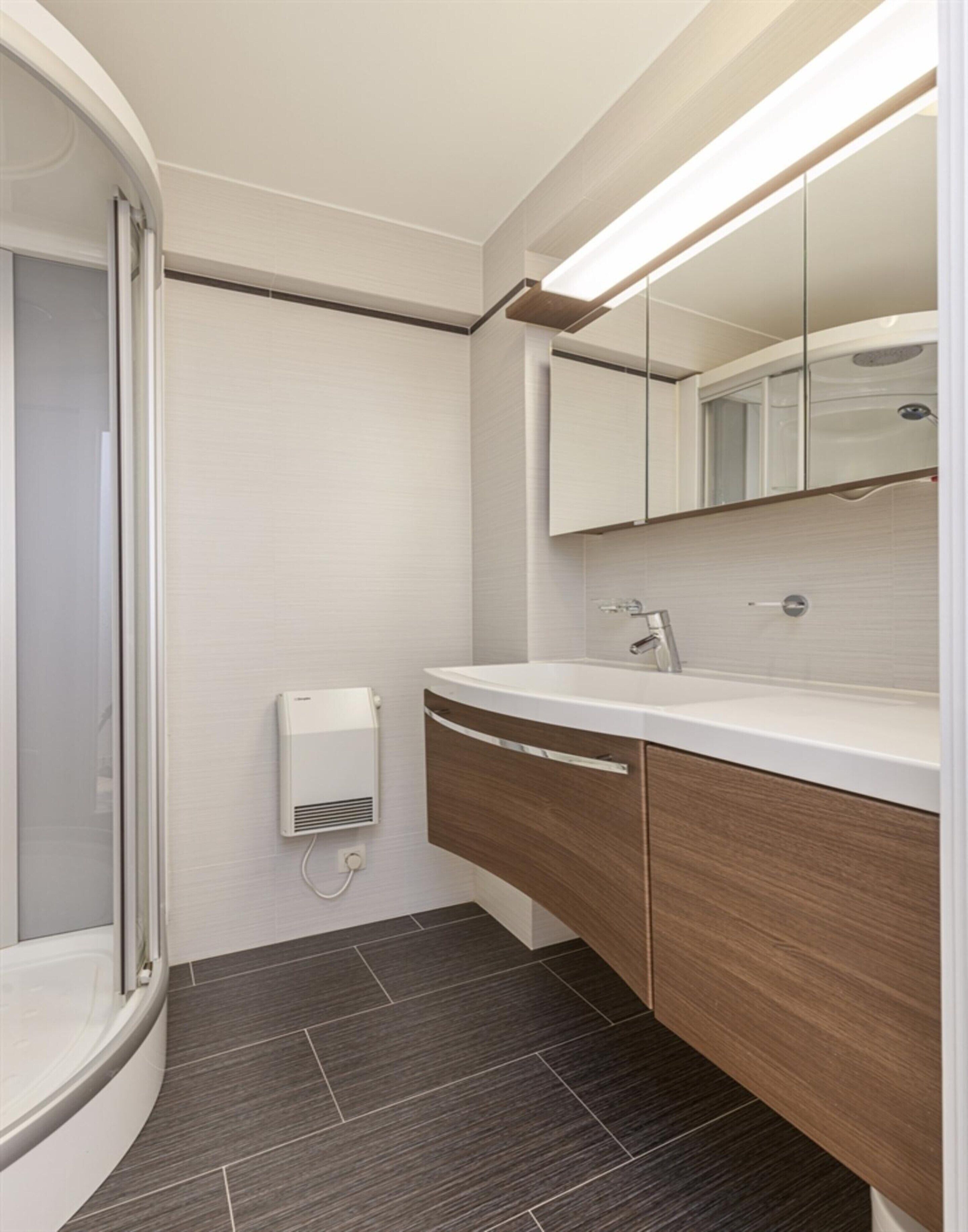 A modern bathroom with a curved shower enclosure, a built-in sink, and a mirror above the vanity.