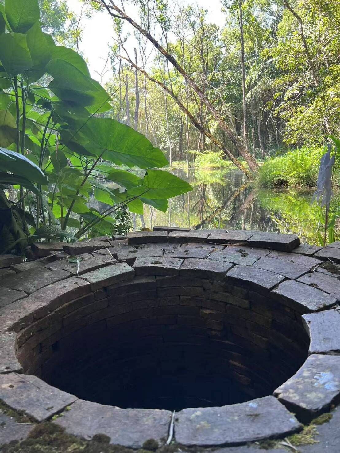 A circular stone structure surrounded by lush greenery.