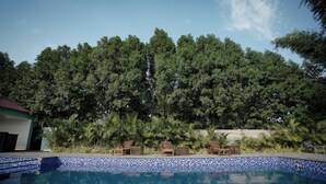 Una piscina azul cristalina con bordes de azulejos, rodeada de sillones de madera y abundante vegetación.