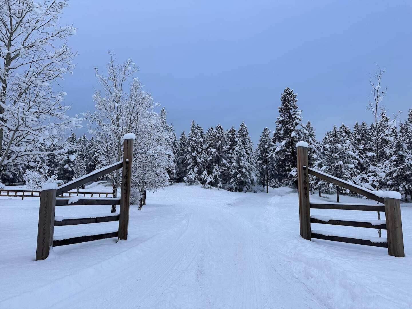 Enceinte de l’hébergement