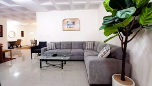 A modern living room with a grey sectional sofa, a glass coffee table, and a large potted plant. - mount houssein (Amman)
