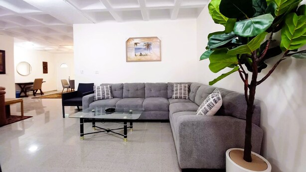 A modern living room with a grey sectional sofa, a glass coffee table, and a large potted plant. - mount houssein (Amman)