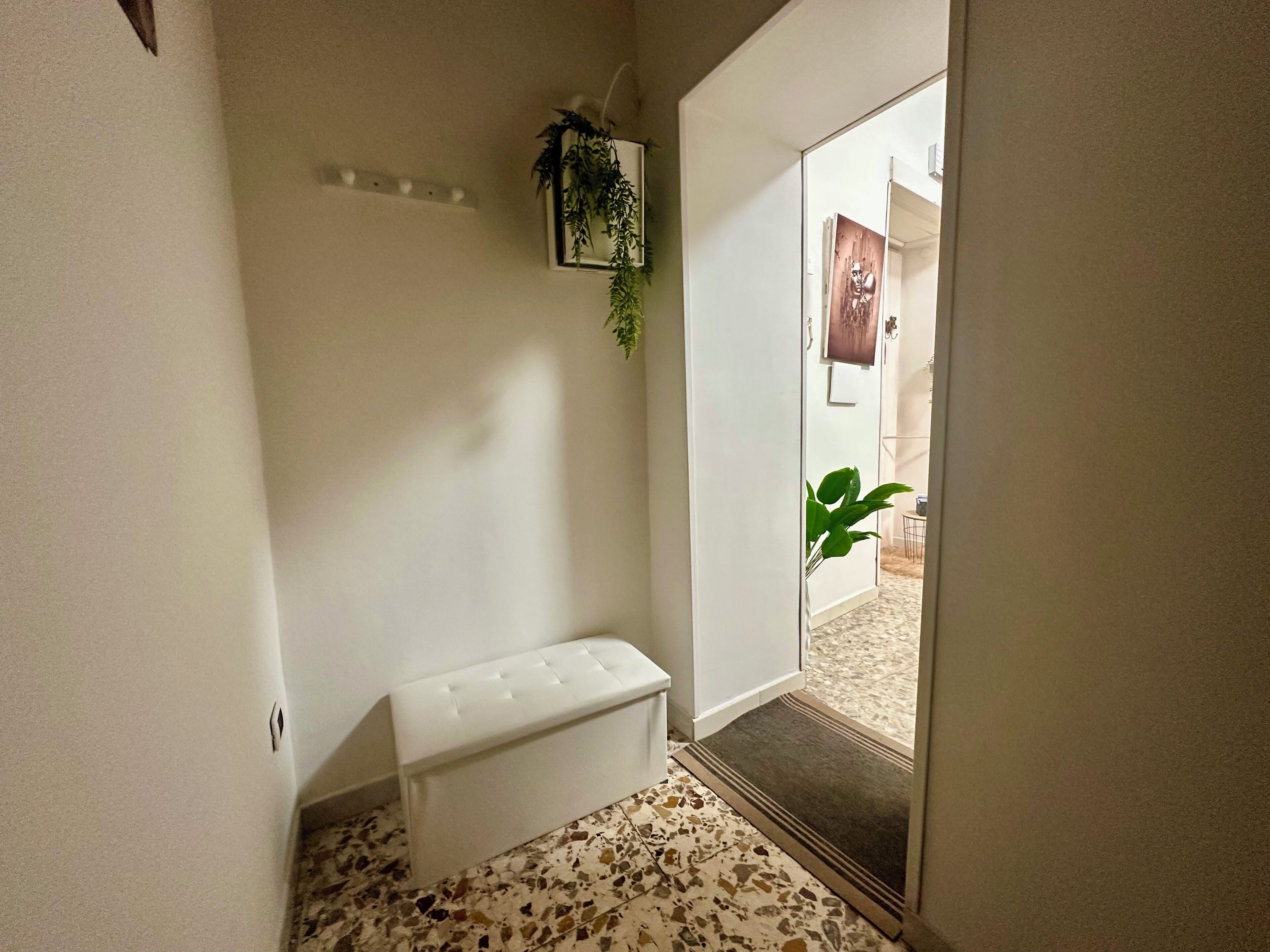 A hallway with a white bench, a potted plant, and a door leading to another room.