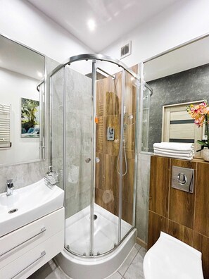 Shower, hair dryer, towels
